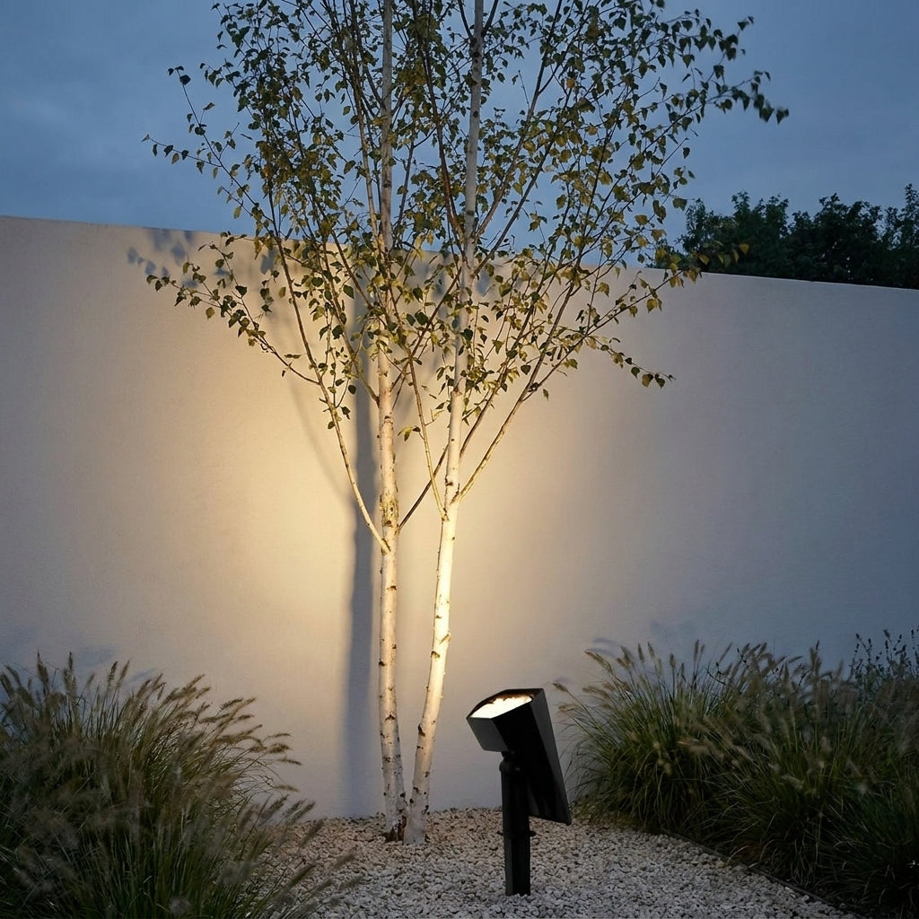 Adjustable Solar Garden Spotlight – uplighting a silver birch tree at night