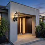 Bird's Nest Outdoor Wall Lantern – beside a dark wood door with potted palms