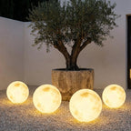 Solar Moon Ball Garden Lights – four moon lights beside a potted olive tree