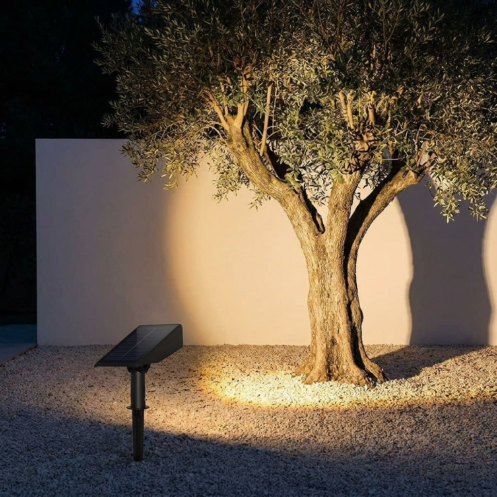 Solar Zoom Garden Spotlight – uplighting an olive tree against a wall