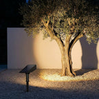 Solar Zoom Garden Spotlight – uplighting an olive tree against a wall