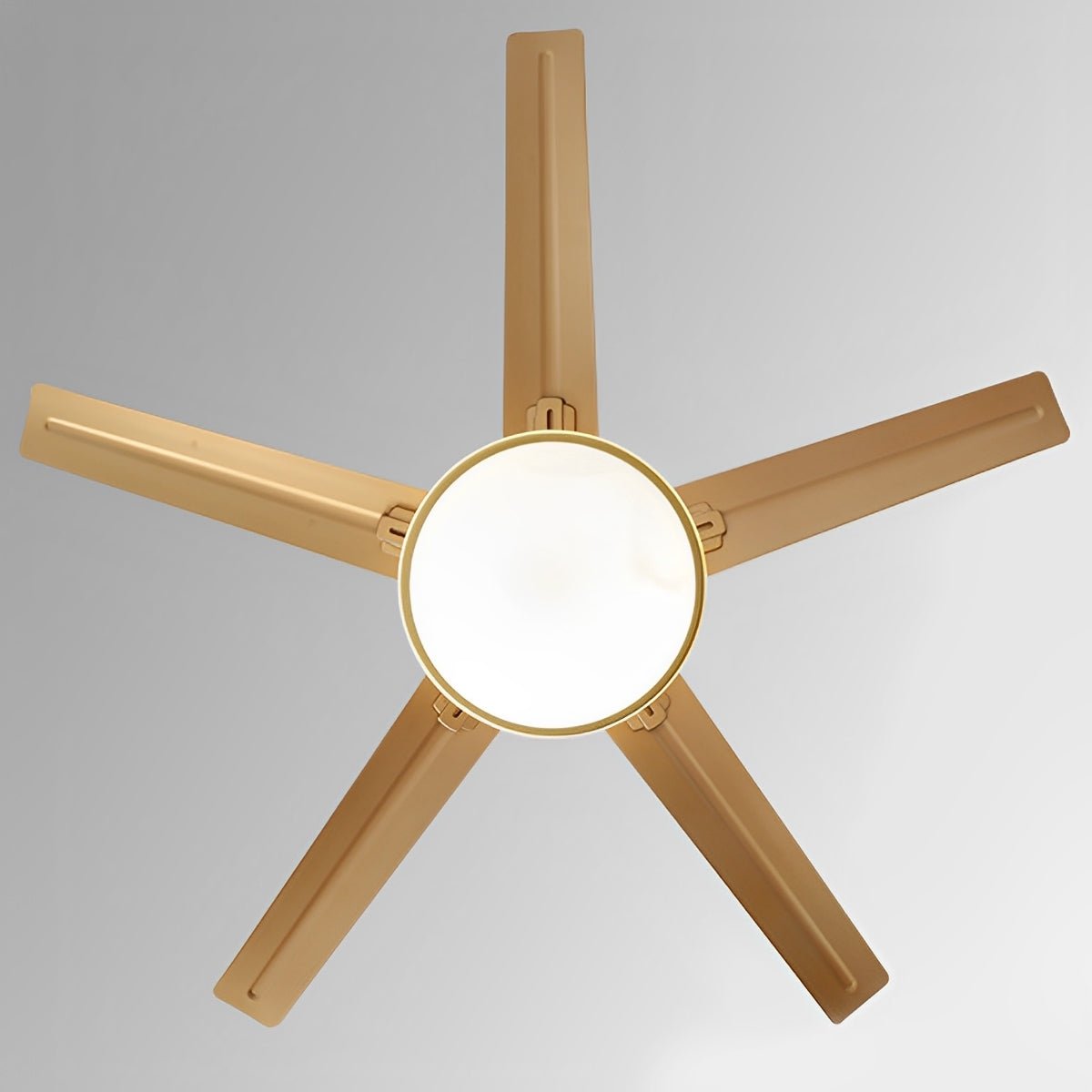 Five Blade Stainless Steel Ceiling Fan with Light – view from below showing five blades, gold