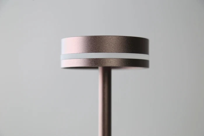Halden Cordless Table Lamp – close-up of the lamp head, bronze finish